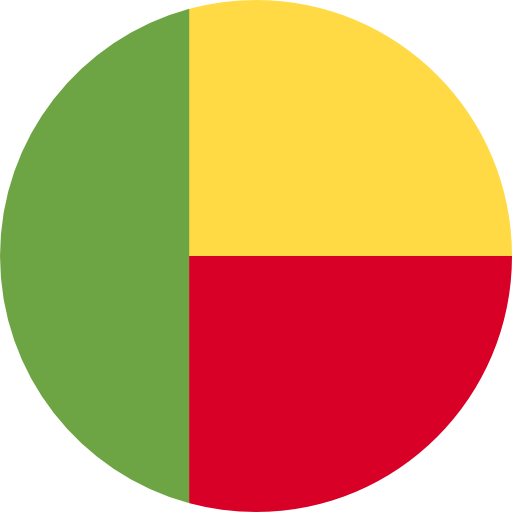 Benin flag 