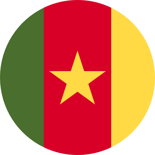 Cameroon flag 