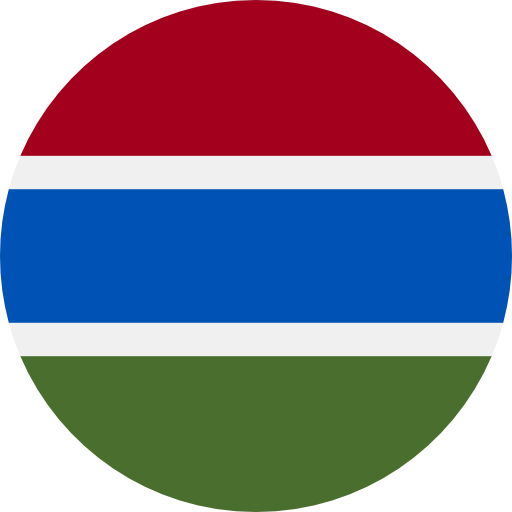 Gambia flag 