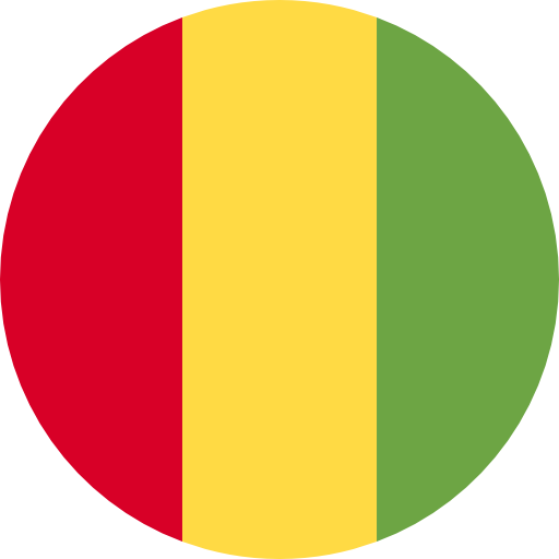 Guinea flag 