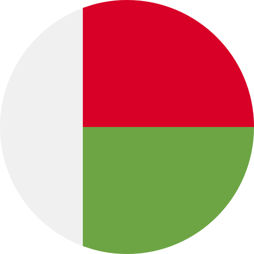 Madagascar flag 