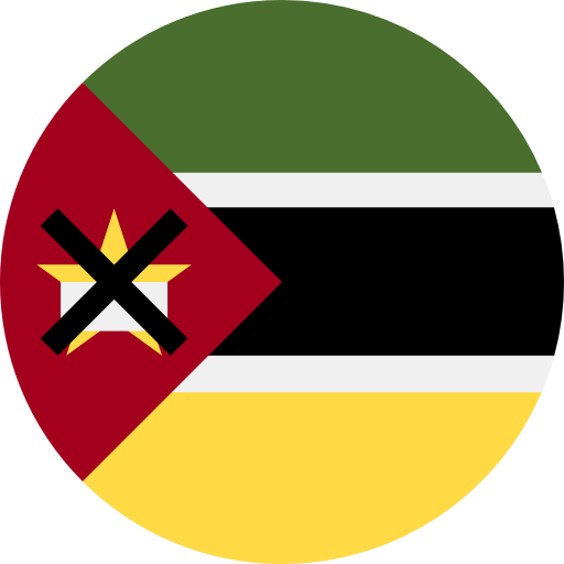 Mozambique flag 