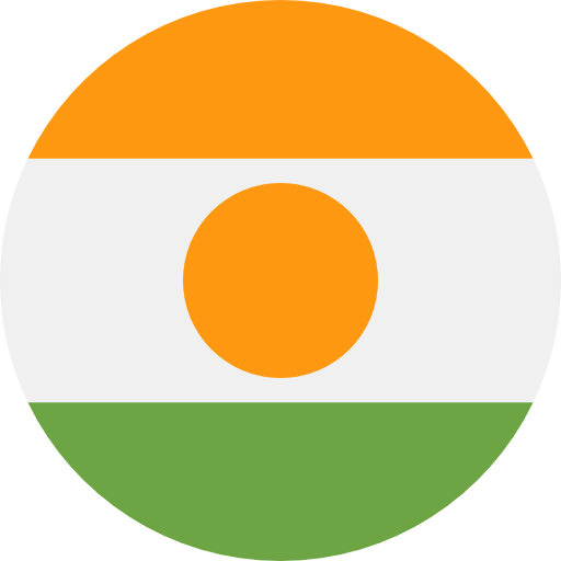 Niger flag 