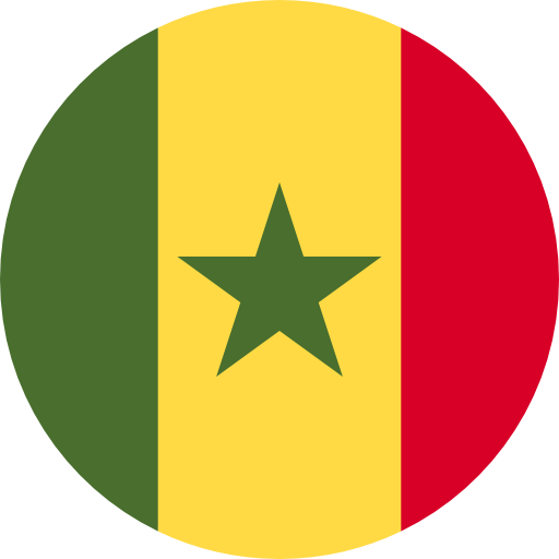 Senegal flag 