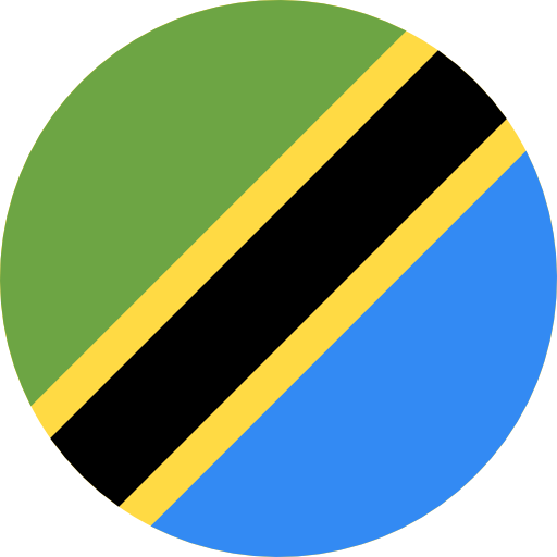 Tanzania flag 