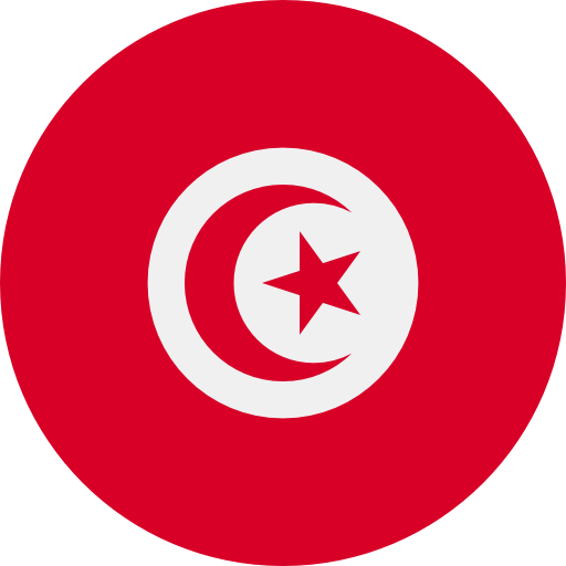 Tunisia flag 