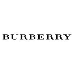 burberry logo