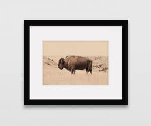 Buffalo Painting by Troy Moth - Mammoth