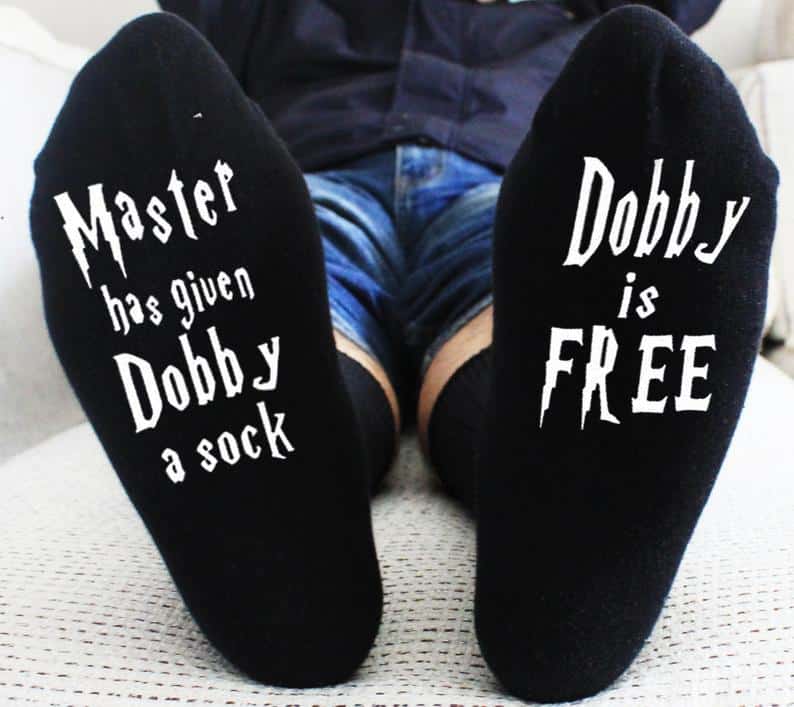 Master Has Given Dobby a Sock Shippn Blog