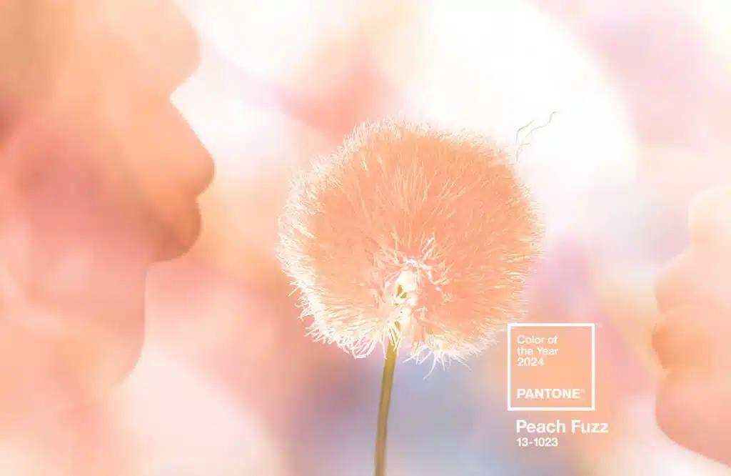 pantone peach fuzz 2024 banner